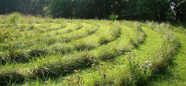 A labrynth sculpted out of grass in a green summer meadow.