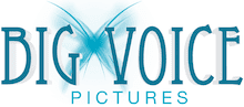 Big Voice Pictures Logo
